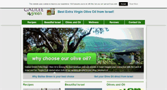 Desktop Screenshot of galileegreen.com